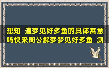 想知  道梦见好多鱼的具体寓意吗快来周公解梦梦见好多鱼  测算网！